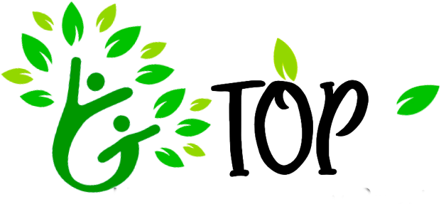 Healthy Tummy Logo